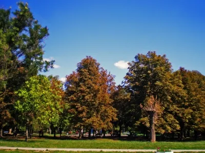 Spruce Grove